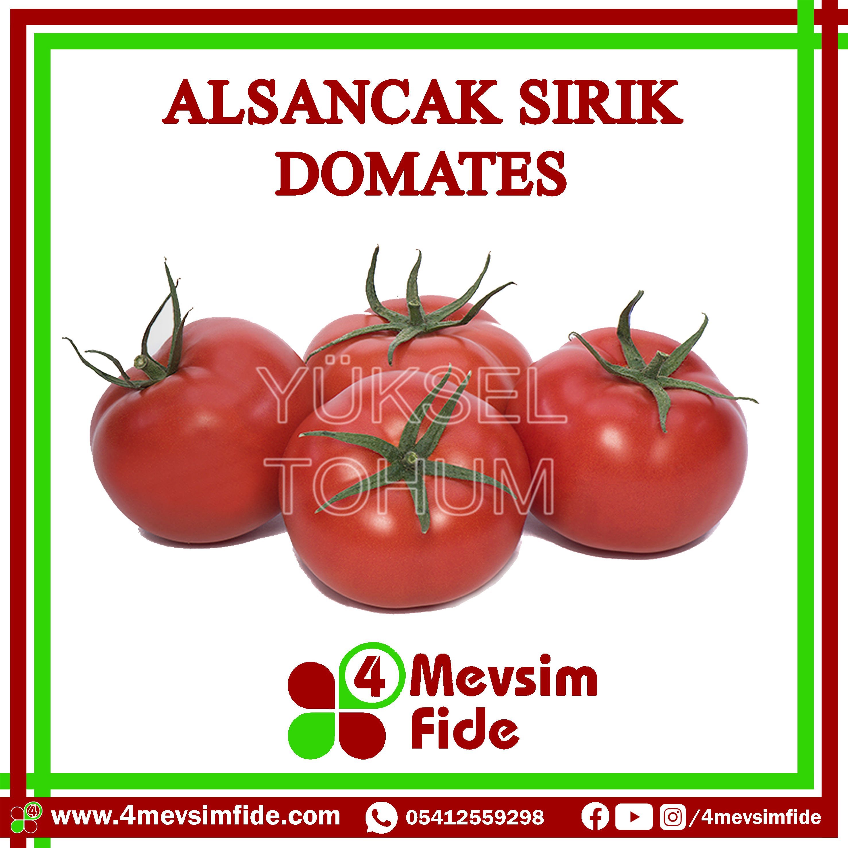 Alsancak F1 Sırık Domates Fidesi